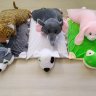 Подушка-игрушка из латекса LIENA Розовый кролик